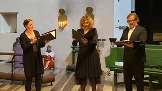 Musik i Sta Birgitta med Capella Martae  In dulci jubilo BuxWV 52  den 20 december 2020 [upl. by Enelra]