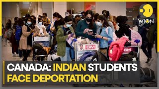 Canada deportation fear Indian students protest after immigration fraud comes to light  WION [upl. by Wandy470]