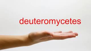 How to Pronounce deuteromycetes  American English [upl. by Tempa]