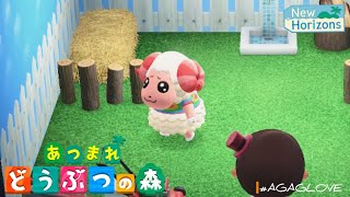 【あつ森】🥺ちゃちゃまる歌い出す🐏🎙♫ Animal Crossing New Horizons あつまれどうぶつの森domacnhkawaiiかわいいsing羊shorts [upl. by Slade530]