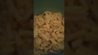 Mac and cheese macaroni song [upl. by Lawler807]