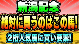 【新潟記念2023】夏競馬最後の重賞！『絶対に買うのはこの馬！』 [upl. by Cello]