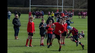 Rosslyn Park National School Sevens 2022 I RE1 I Day 1 I LIVE [upl. by Ailecnarf945]