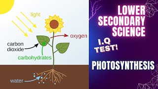 PHOTOSYNTHESIS SCIENCE QUIZ FOR JUNIOR SECONDARY [upl. by Ilan]