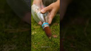 Cattail  plastic bottle free effective DIY water filter 💦 camping hack [upl. by Egdirdle]