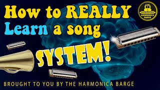 How to really learn a song on Harmonica [upl. by Egres257]