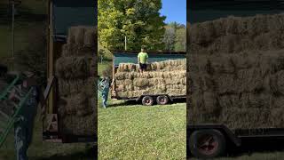 The Farmboys Actually do Farm work farmboysracing haybales hauling automobile dragracing [upl. by Nylloc603]