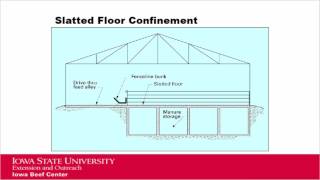 Feedlot Cattle Performance and Facility Type [upl. by Granville]