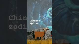 Shio kambing logam adalah individu baik hati dan bertanggungjawab menurut astrologi Tionghoa [upl. by Tnafni204]