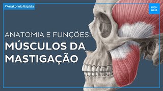 Músculos da mastigação Anatomia e funções  Anatomia Fácil  Kenhub [upl. by Aihtnis80]