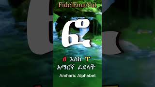 09  ፀ እስከ ጸ አማርኛ ፊደላት  Amharic Alphabet [upl. by Neel]