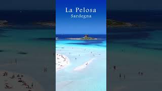 La Pelosa Sardinia sardegna sardinia travel italy reels shorts [upl. by Matthaeus]