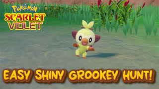 How To EASILY Shiny Hunt Grookey In Pokemon Scarlet and Violet the Indigo Disk [upl. by Euqinahs]