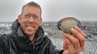 Camping Fishing amp Clamming in a Snow Storm  Coastal Foraging in Alaska [upl. by Ursulina781]