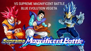 PHY GOD GOKU TEAM VS EVOLUTION VEGETA SUPREME MAGNIFICENT BATTLE DBS EDITION DBZ Dokkan Battle [upl. by Kerekes759]