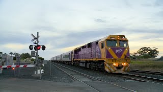 Lots Of Vline Trains At Cherry Swamp Road Railway Crossing 4122020  PoathTV Australian Railroad [upl. by Pulchi]