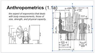 T1  Anthropometrics 1 [upl. by Annirak]