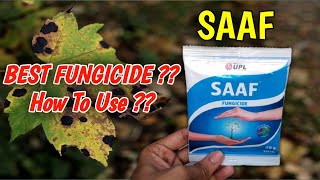 How To Use Saaf Fungicide On Plants In Hindi  Best Fungicide  Carbendazim 12  Mancozeb 63 WP [upl. by Raimes]