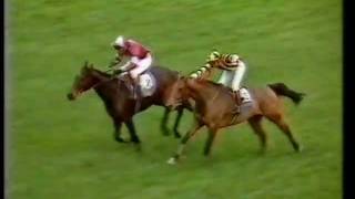 1984 Tingle Creek Handicap Chase [upl. by Akemhs343]