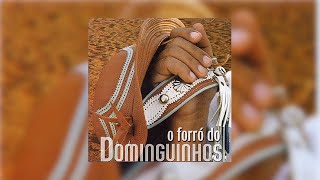 Dominguinhos  quotO Vendedor de Caranguejoquot O Forró do Dominguinhos2003 [upl. by Essa84]