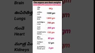 SV TUITION the organs are their weights మానవ శరీరంలోని అవయవాలు వాటి బరువులు dsc tet [upl. by Ogir949]