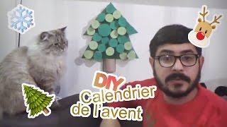 DIY  Calendrier de lavent pour chat ou humain Crêpe au Citron [upl. by Idzik]