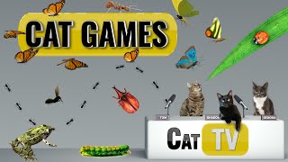 CAT Games  Ultimate Cat TV Bugs and Butterflies Compilation Vol 5 🪲 🐞🦋🦗🐜  Videos For Cats to Watch [upl. by Enael]