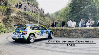 Rallye Criterium des Cévennes 2022  Day 1  ES3 [upl. by Nnodnarb]