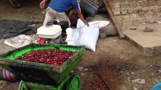 Coffee Depulping machine Peru [upl. by Shaughn]