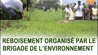 Reboisement Organisé Par Le Brigade De Lenvironnement [upl. by Ardnuhsal]