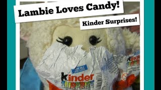 229 Lambie Loves Candy Kinder Surprises  LambCam [upl. by Eric985]