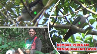 NEMBAK PEREGAM MENGGUNAKAN LASER SCOPE [upl. by Nelloc]