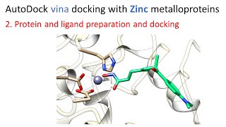 2 Protein and ligand preparation and docking  AutoDock vina docking with Zinc metalloproteins [upl. by Iggy524]