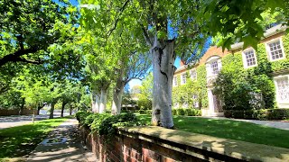 Toorak Suburb Walking Tour St Georges and Albany Road Melbourne Australia 4K [upl. by Cassy]