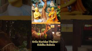 Srila Haridas Thakur  Siddha Bakula  Jagannath Puri iskcon [upl. by Ellenahc]