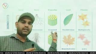 plants morphology difference between monocots amp dicots [upl. by Telfore]