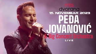 PEDJA JOVANOVIC amp BIG CONCERT ORCHESTRA  LIVE CEO KONCERT  151123 MTS DVORANA [upl. by Parsons611]