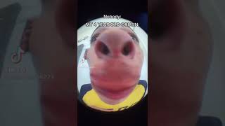 You got games on your phone original [upl. by Cavallaro]