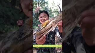 Harvesting Honey Bees and Picking Mushrooms with a Mountain Girl  Chàng bán macca lân la khắp chốn [upl. by Wind]