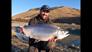 Fishing for salmon and trout in the Tekapo Canals Twizel New Zealand June 2022 [upl. by Anahsal]