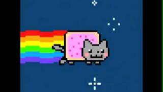 Nyan Cat pop tart  Insane Edition [upl. by Yrailih899]