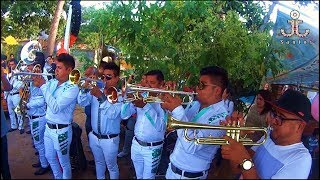 BANDA TIERRA MOJADA  Jinetes en el Cielo COMPARSA ARROLLADORA TRINIDAD DE VIGUERA 2016 [upl. by Kcirtemed]