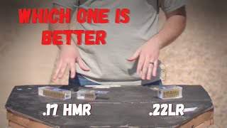 17 HMR vs 22LR Calibers An InDepth Comparison for Precision Shooters Hunting Mark [upl. by Trust]