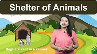 Shelter Of Animals Class 2 Science [upl. by Elcarim987]