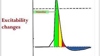 The excitability changes [upl. by Htebsil]