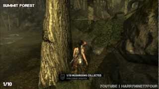 Tomb Raider  Red Cap Roundup Challenge Guide All Mushroom Locations [upl. by Willcox]