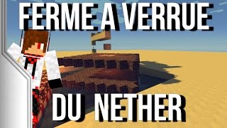 FERME A VERRUE DU NETHER  Les minituto dErwin 6 [upl. by Kiyoshi]