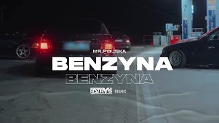 Mr Polska  Benzyna Patryś Remix [upl. by Neelak]