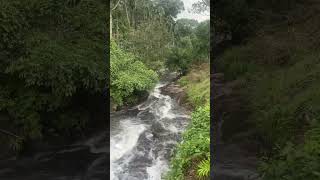 Waterfall in Nelliyampathy Route [upl. by Mini]