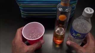 WTF CRAZY SODA FLAVORS TASTE TEST  1000th Video Special [upl. by Hyacintha502]